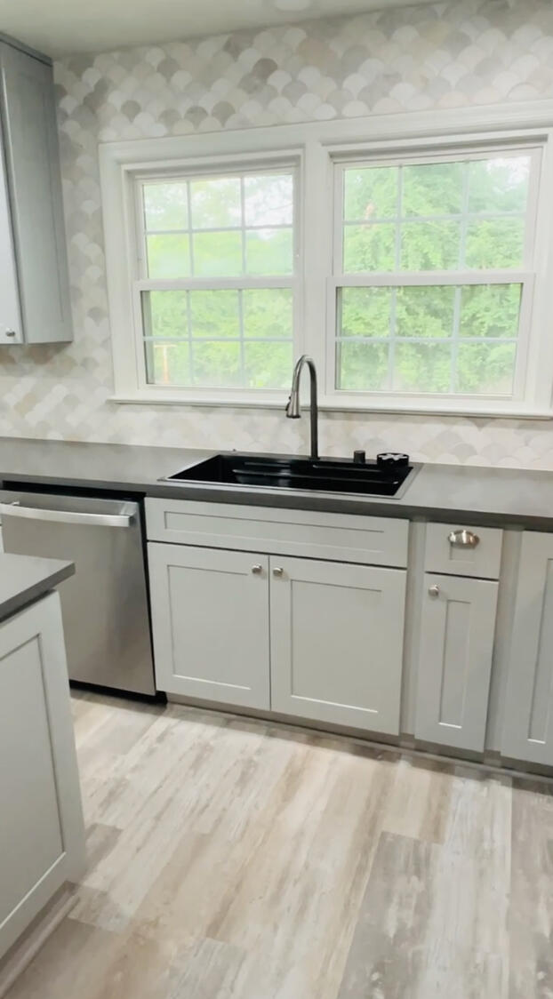 Updated Faucet & Workstation Sink