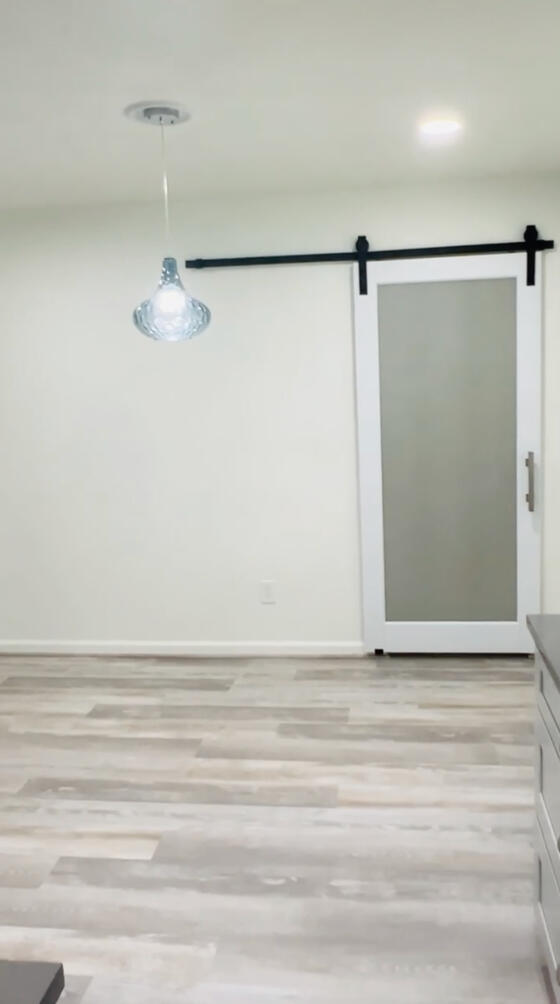 New Pantry & Barn Door